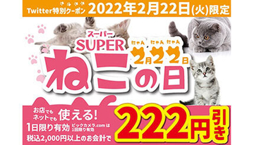 猫の日限定の222円引きクーポン！　ビックカメラがTwitterで配布中