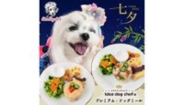 愛犬用の七夕限定メニュー「スターフェスティバルプレート」発売、お寿司とそうめん