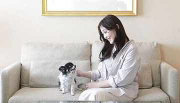 ワンちゃんと泊まれる宿泊プラン！　仙台市のホテルで1部屋2頭までOK