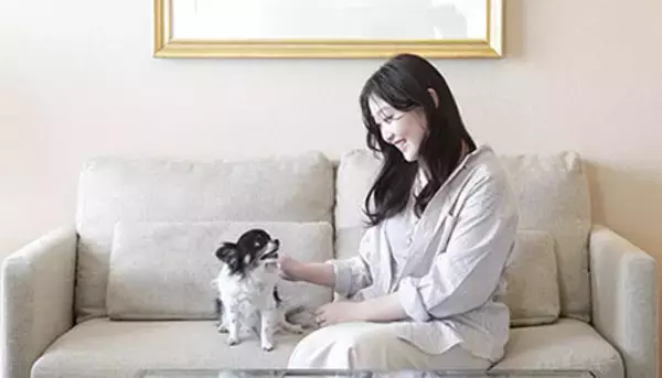 ワンちゃんと泊まれる宿泊プラン！　仙台市のホテルで1部屋2頭までOK