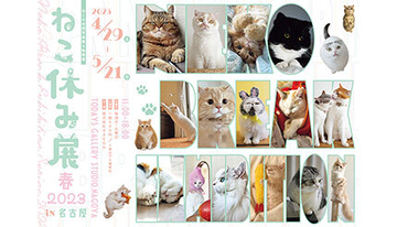 “ねこまみれ”のひと時を　「ねこ休み展」が名古屋で3年ぶりの春開催