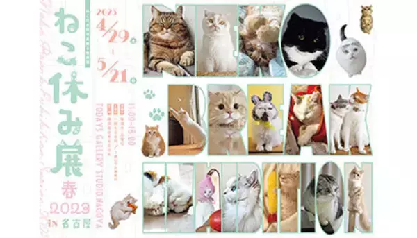 “ねこまみれ”のひと時を　「ねこ休み展」が名古屋で3年ぶりの春開催