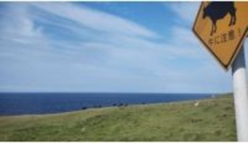 長崎県でワーケーション！旅も仕事もサイコーでした