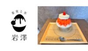 広島市にかき氷愛好家「ゴーラー」が提供する、かき氷専門店「果実と氷 岩澤」オープン