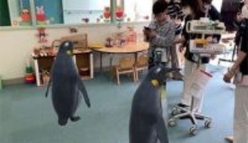 横須賀市立総合医療センターに全国初「ARどうぶつえん」常設導入、小児医療支援を強化
