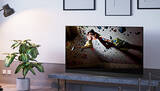 「美しい色彩と明暗による臨場感あふれる映像が楽しめる有機ELテレビ！　今もっとも売れている製品TOP10」の画像1