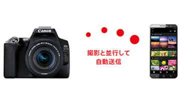 高画質撮影した写真をすぐにスマホに送れる一眼レフ！　今もっとも売れている製品TOP10