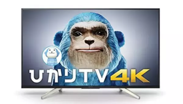最新の4Kブラビアをサブスクで月額利用、NTTぷららの「月々テレビ」