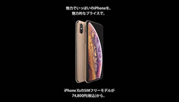 ヨドバシカメラ ビックカメラ 限定販売のsimフリーiphone Xsを大幅値下げ 年1月31日 エキサイトニュース