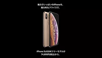 ビックカメラ Ecと一部店舗でsimフリーiphone 12の予約を受け付け 年11月10日 エキサイトニュース