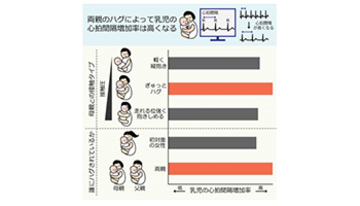 乳児も親のハグでリラックス、東邦大など初めて実証、科学的子育ての一助に