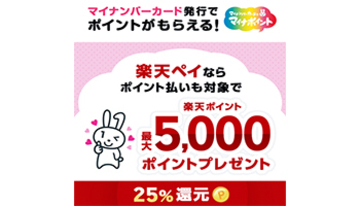 「楽天ペイ」などで「マイナポイント」の申し込みが可能に、7月に開始