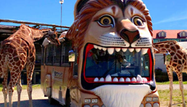 Go To トラベルとライオンバス無料 サファリパークのキャンペーン 年10月28日 エキサイトニュース