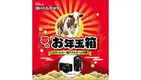 奥行6 5cm カバンにすっきり収まる サーモス のスリムサイズ2段式お弁当箱 年11月30日 エキサイトニュース