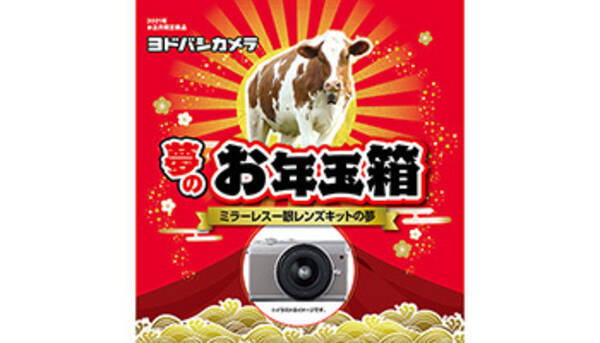 ヨドバシ Com 夢のお年玉箱21 抽選販売は本日終了 倍率300倍超えの商品も 年12月6日 エキサイトニュース