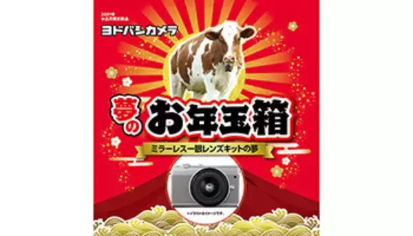 ヨドバシ.com、「夢のお年玉箱2021」抽選販売は本日終了！　倍率300倍超えの商品も