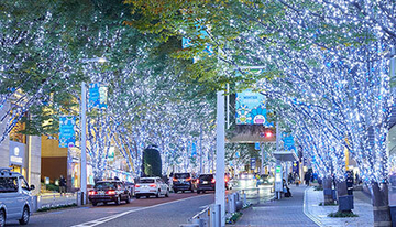 3密対策で選ぶ！ 2020年東京のおすすめイルミネーション5選