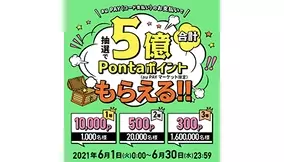 Au限定 Au Payマーケットで ニンテンドープリペイド番号 最大10 ポイント還元 21年5月27日 エキサイトニュース