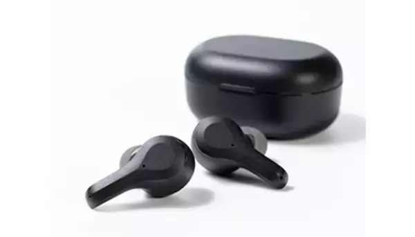 ビックカメラ、通話用ノイキャンでWEB会議もばっちりなワイヤレスイヤホン