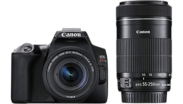 上半期に売れた一眼レフTOP10、キヤノン「EOS Kiss X10」がニコン「D5600」を上回って首位獲得　2021/8/13