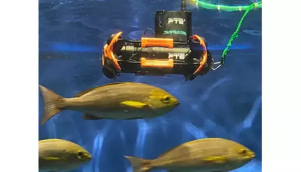 PC・タブレットで操作できる水中ドローンで水族館を楽しめる！ 京急油壺マリンパークで実施中
