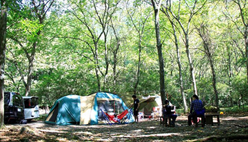 富士山麓のキャンプ場「CAMP AKAIKE」、フリーサイトで最大32時間滞在可能プラン登場
