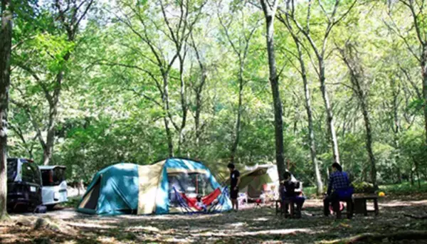 富士山麓のキャンプ場「CAMP AKAIKE」、フリーサイトで最大32時間滞在可能プラン登場