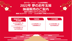 売切れ必至！　ヨドバシ・ドット・コム「2022年 夢のお年玉箱」の抽選受付開始！
