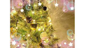 今年もクリスマスのイルミネーションを楽しもう！ 関東のおすすめ5スポット
