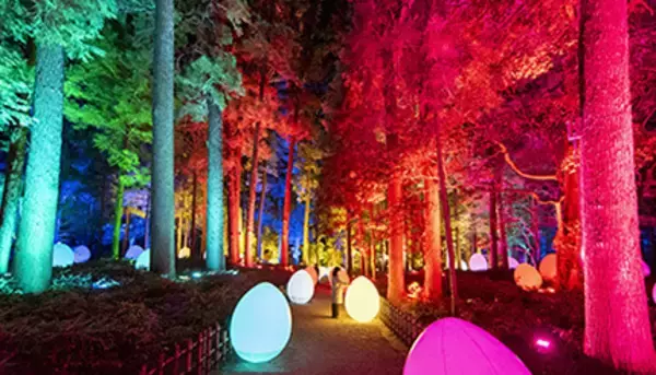 「チームラボ、茨城の偕楽園で開園180年でインタラクティブなアート空間を演出」の画像