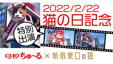 新宿東口の3D巨大猫、2月28日まで「CIAOちゅ～る」のCMに特別出演