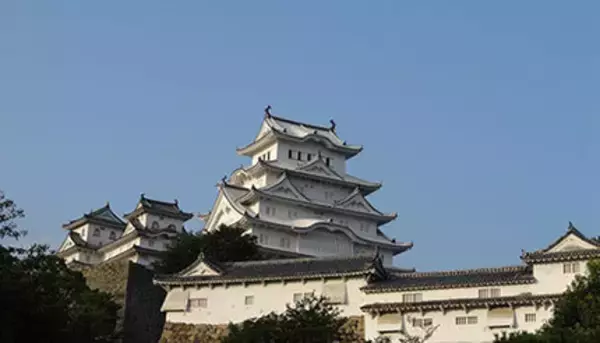 亀舘が2024年版「大奥」で初共演決定！　ライバル関係の役どころから目が離せない