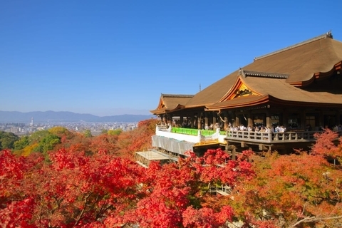 秋の旅行は早めに予約すべき？　「早割」と「直前割」の違いを解説