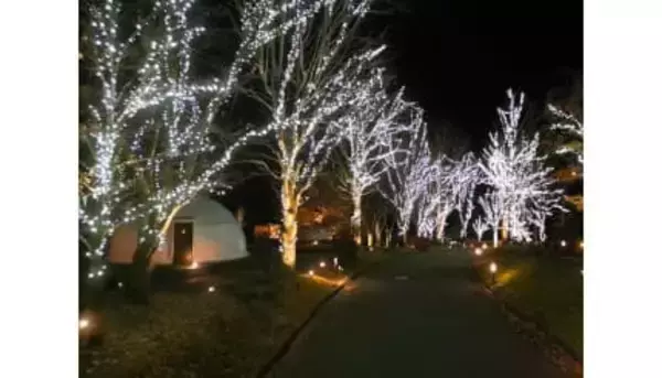栃木・日光のグランピングリゾートで約4万球のLEDによる「イルミネーションナイト2025」