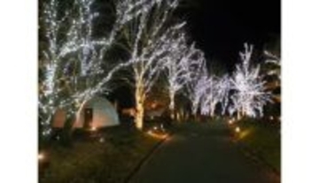 栃木・日光のグランピングリゾートで約4万球のLEDによる「イルミネーションナイト2025」