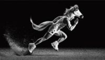 なかやまきんに君を起用した「JRA-VAN」の新CMを順次展開