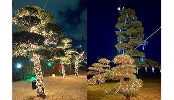 神奈川・座間で光の中で打つ新感覚ゴルフ体験！「ZAMA GOLF ナイトイルミネーション 2025」