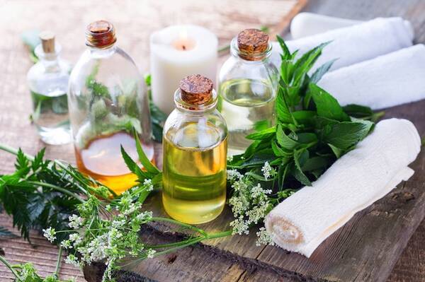 Nextハッカ油 ヘアケアから消臭まで ヒバ油 の活用術 16年8月26日 エキサイトニュース