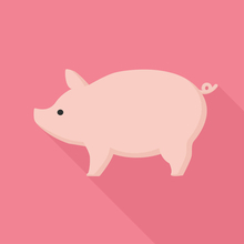 「おしゃべりするミニブタ」がギネス認定。インスタフォロワー110万人達成で