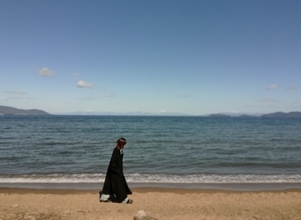 17歳になる前日にペットショップで出会ったオスのシェパード。私に彼を弔う資格は、今はない…【神野藍】連載「揺蕩と偏愛」#23