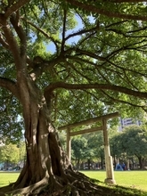 台湾へ旅をしたくなった理由。そして台北の公園で見つけた「２つの鳥居」と「台湾の歴史」【西岡正樹】