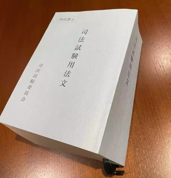 「【山本モナ】なぜ弁護士を目指し、どうやって司法試験を突破したのか？   結婚・三児の母が編み出した必勝勉強法」の画像
