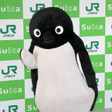 「『Suicaのペンギン』2026年度末で「卒業」！「残留でいいのに」と惜しむ声も多数」の画像1