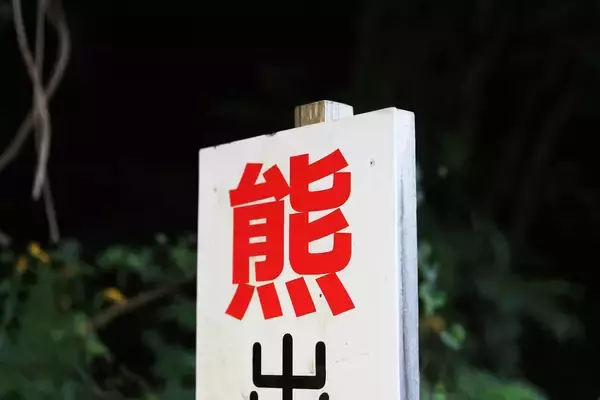 岩手銀行本店地下駐車場にクマ、麻酔で捕獲！