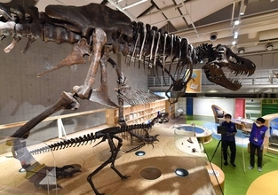 稼げない国立博物館や美術館は閉館？ノルマ設定に「おかしいよ」「文化庁長官は辞任すべき」文化人から怒り