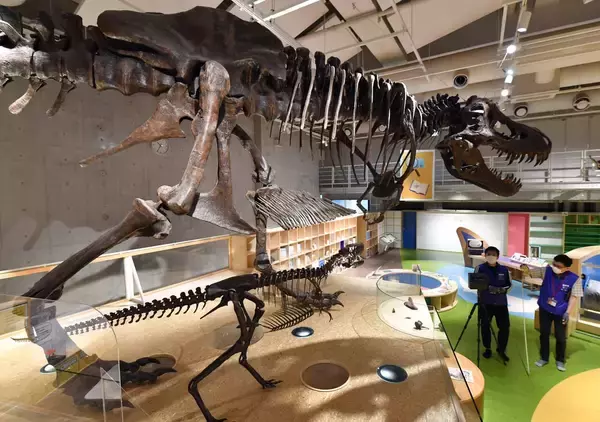 稼げない国立博物館や美術館は閉館？ノルマ設定に「おかしいよ」「文化庁長官は辞任すべき」文化人から怒り