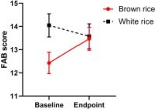 玄米食が認知症予防の光になる！？東北大学×東洋ライス共同研究で衝撃の結果