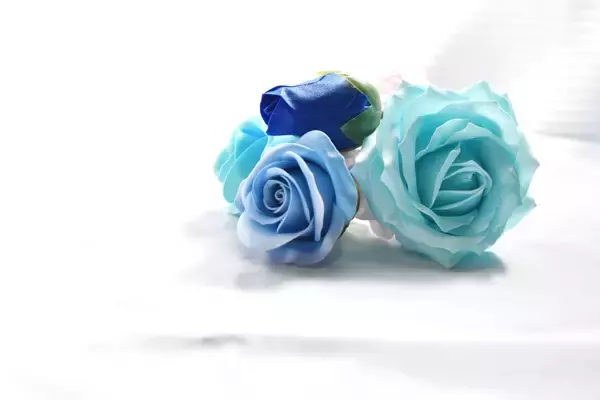 田中みな実の東大卒姉、「次世代の女性リーダー100名」に！青いバラを手にする写真を公開