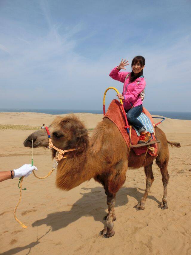 鳥取砂丘でラクダに乗ったら実に楽だったというお茶目な話 女子鉄ひとりたび 7番線 年7月5日 エキサイトニュース 2 2