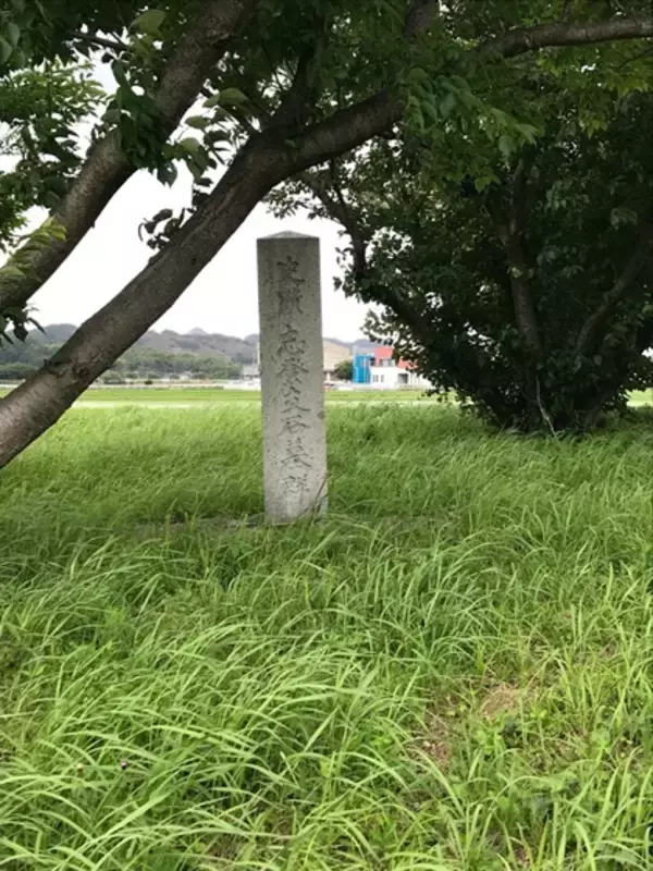 「九州の古代遺跡で「卑弥呼の時代」を再発見」の画像